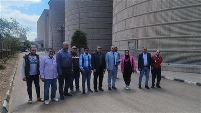 بدء موسم التوريد، جولة داخل أحد صوامع استلام القمح في الدقهلية (فيديو وصور)