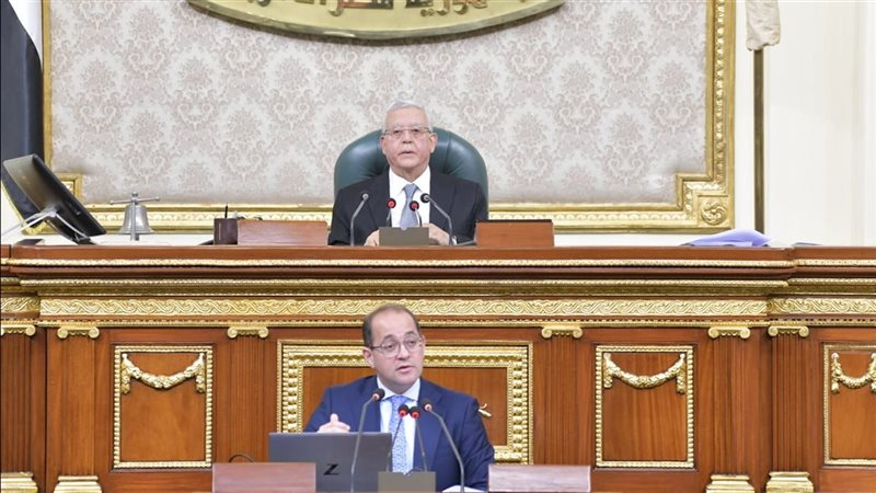 وزير المالية أمام