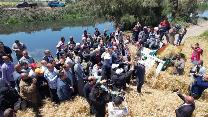 إطلاق موسم حصاد القمح