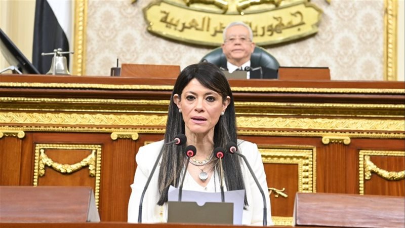 وزيرة التخطيط أمام
