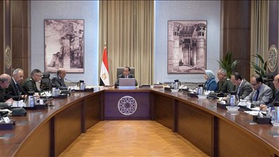 اجتماع حكومي عاجل لتأمين احتياجات مشروع «الدلتا الجديدة» من الكهرباء