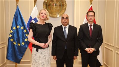 وزير العدل يستعرض تطوير المنظومة التشريعية مع رئيس البرلمان السلوفيني