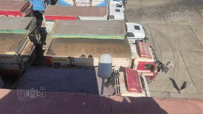 بشائر الخير، الوادي الجديد تفتتح موسم توريد محصول القمح