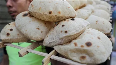 التموين: تحرير 3 آلاف مخالفة بالأسواق شهريا أبرزها تهريب الدقيق والغش التجاري