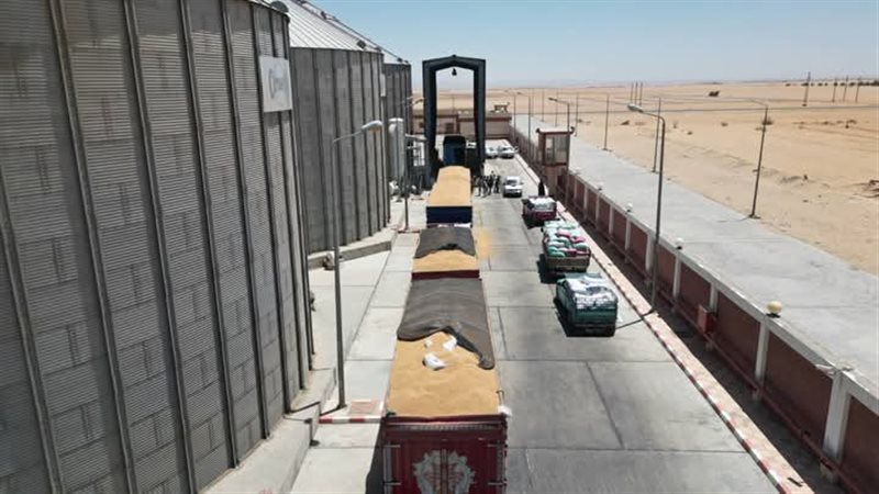 توريد القمح بالوادي