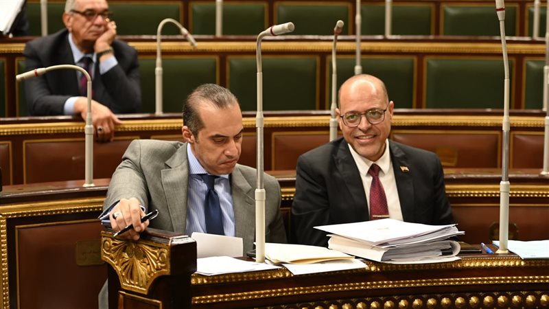 وزيرا العمل والمجالس