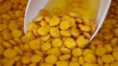 ماء الترمس، يضبط الكوليسترول والسكر ويفتح البشرة