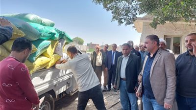 انطلاق موسم حصاد القمح، بدء توريد الذهب الأصفر لصوامع الدقهلية (فيديو وصور)