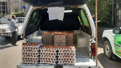 الكرتونة بـ ١٢٥ جنيه، نرصد انطلاق قافلة البيض بالبحيرة احتفالًا باعياد الربيع (فيديو)