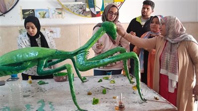 جامعة الأقصر تنظم ورشة فنية عن المشروعات الخضراء