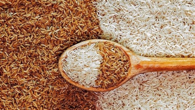 سعر الارز 