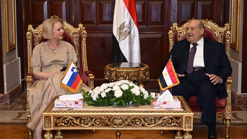 استقبال وفد نيابي