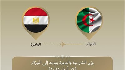 وزير الخارجية يتوجه إلى الجزائر لبحث عدد من الملفات