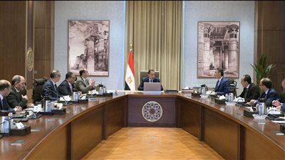 الحكومة: صرف مستحقات توريد القمح خلال 48 ساعة وتحفيز الفلاحين على التوريد