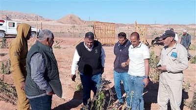 الزراعة تواصل دعم مزارعي سيناء من خلال مبادرة 