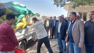 بدء استقبال محصول القمح بشون وصوامع الدقهلية (صور)