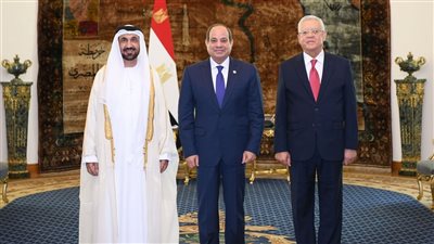 قرار جمهوري مهم ورسائل قوية من السيسي لقادة قطر والكويت وإندونيسيا ورواندا والبرلمان العربي