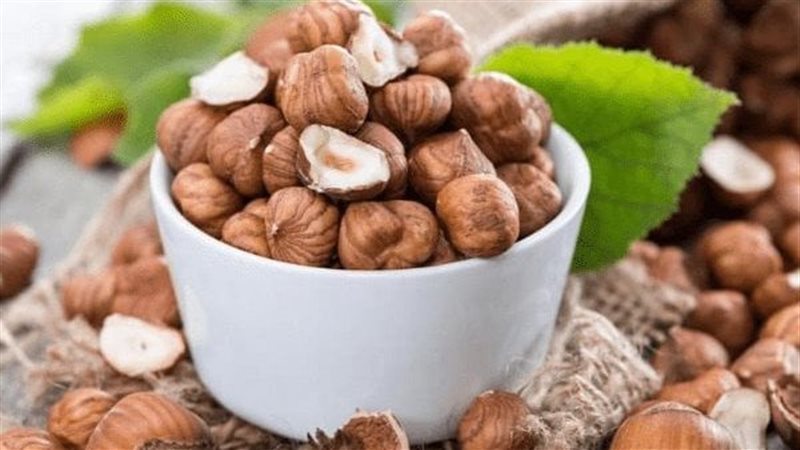 البندق، فيتو