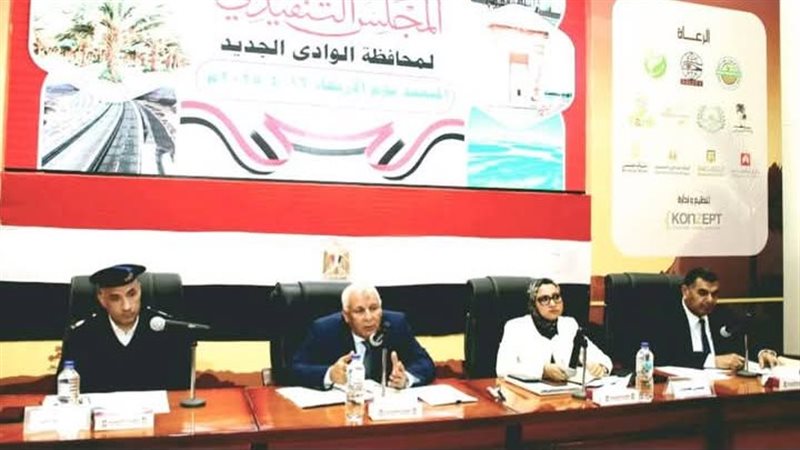 المجلس التنفيذي للوادي