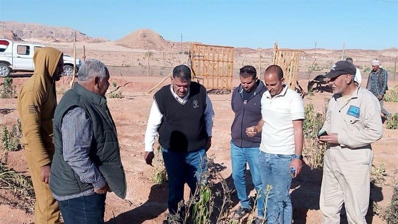 مبادرة اسأل استشير