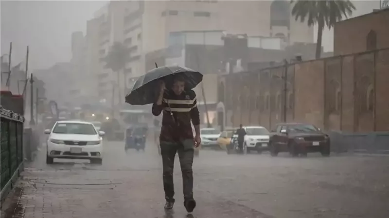 حالة الطقس، فيتو