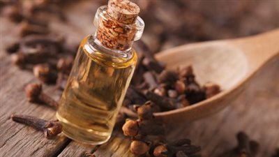 فوائد زيت القرنفل لصحة الجهاز التنفسي وتجديد خلايا البشرة