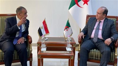 شراكات اقتصادية، تفاصيل لقاء وزير الخارجية مع وزير الصناعة والإنتاج الصيدلاني الجزائري