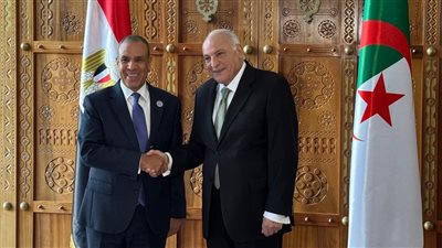 حشد التأييد الدولي لخطة إعادة الإعمار، تفاصيل لقاء وزير الخارجية مع نظيره الجزائري