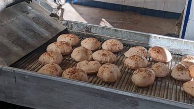 تحرير 654 محضرًا تموينيًا وضبط 32 شيكارة دقيق بلدي مجهول المصدر بالمنوفية 