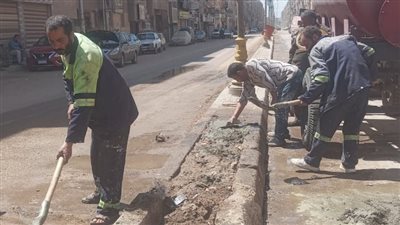 رفع 235 طن مخلفات بلدية وتراكمات في حملة بغرب المنصورة (صور)