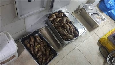 التحفظ على لحوم ومانجو غير صالحة للاستهلاك داخل محلات بدون ترخيص في العبور