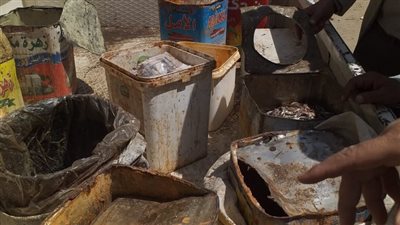 تفتيش 327 منشأة غذائية وضبط وإعدام 3 أطنان من الأغذية المتنوعة بسوهاج 