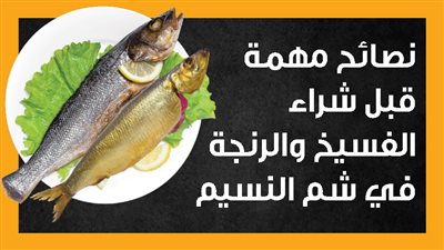 نصائح مهمة قبل شراء الفسيخ والرنجة في شم النسيم (إنفوجراف) 