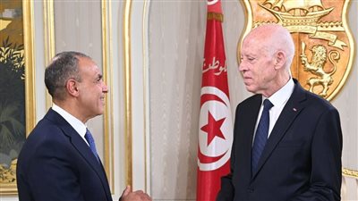 الرئيس التونسي يستقبل وزير الخارجية ويشيد بالعلاقات الأخوية مع مصر 