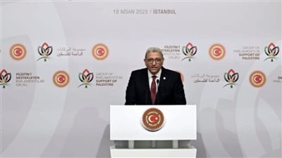 بمشاركة وكيل النواب، أردوغان يطالب المجتمع الدولي بتبني خطة مصر لإعمار غزة 