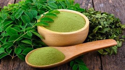 الشجرة المعجزة.. المورينجا لتنظيم السكر وخفض ضغط الدم