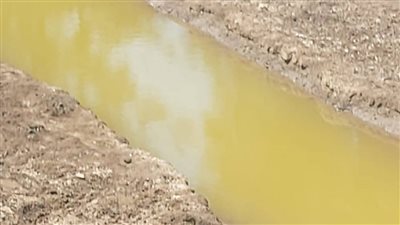 إزالة تعد على أرض زراعية قبل تحويلها لمزرعة سمكية في دكرنس بالدقهلية (صور )