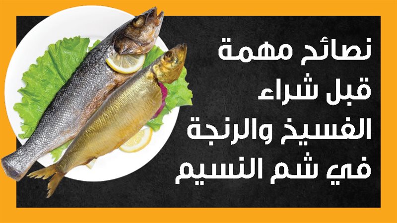 الأسماك المملحة