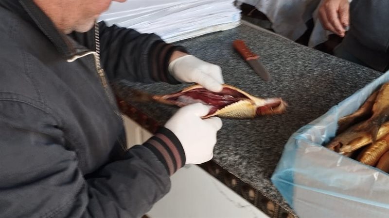 ضبط 8.5 طن أسماك