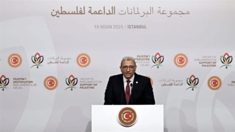 كلمة مصر في اجتماع