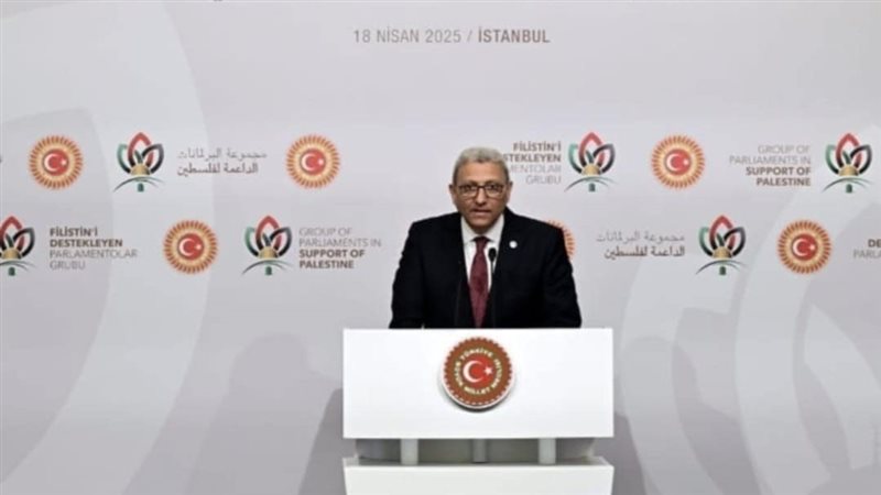 المستشار أحمد سعد
