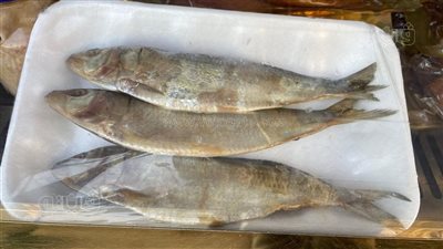 البطارخ تصل لـ 3000 جنيه، أسعار الفسيخ والرنجة والملوحة والسردين في الأسواق