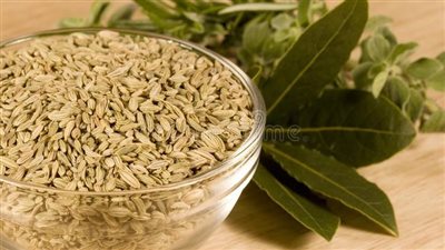 الشمر لصحة المرأة للمرضعات ولتخفيف آلام الدورة الشهرية