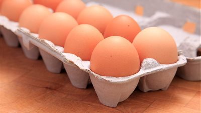 أخبار مصر اليوم: تخفيض أسعار الدواجن المجمدة والبيض.. حركة تنقلات بتعليم القاهرة.. حالة الطقس درجات الحرارة.. سعر الرنجة بالمجمعات الاستهلاكية