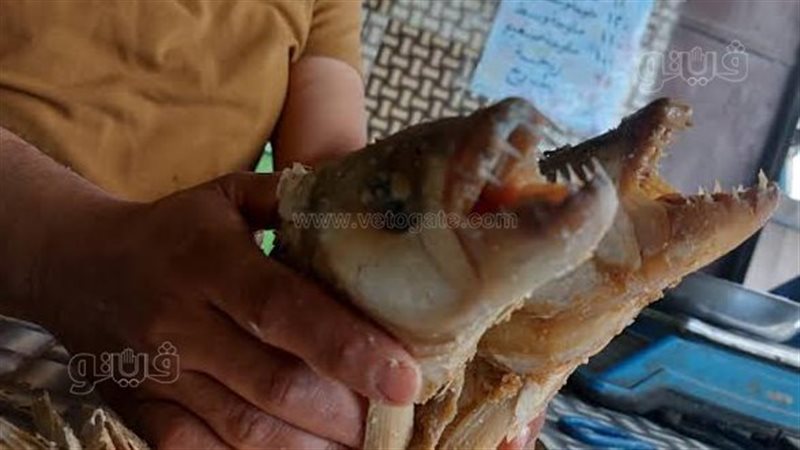 اقبال كبير من المواطنين