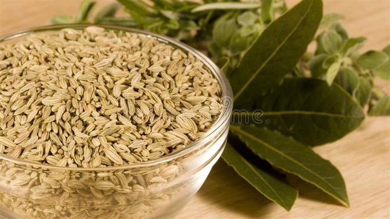 فوائد الشمر