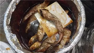 حملات مكبرة على أسواق الأسماك بالجيزة