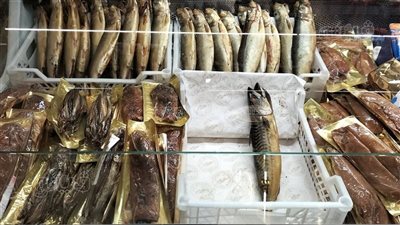 بالتزامن مع شم النسيم، ضبط رنجة فاسدة وأسماك ولحوم في حملة بالقاهرة