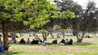 توافد المواطنين على الحدائق والمتنزهات بالشرقية للاحتفال بشم النسيم (صور) 