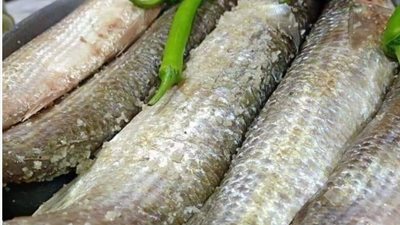 الفسيخ فيه سم قاتل، تحذير لهذه الفئات من تناول الأسماك المملحة